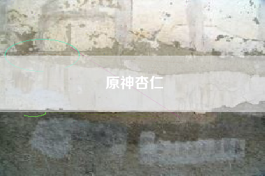 原神杏仁