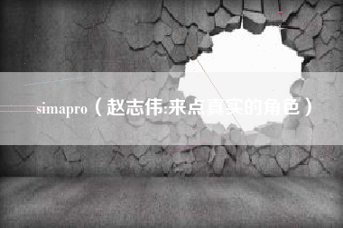 simapro（赵志伟:来点真实的角色）