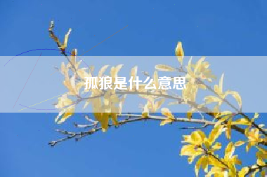 孤狼是什么意思
