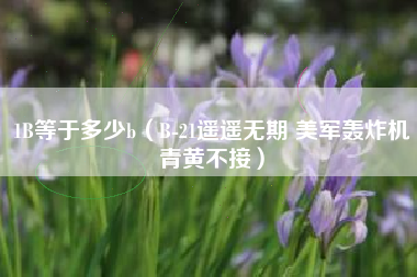 1B等于多少b（B-21遥遥无期 美军轰炸机青黄不接）