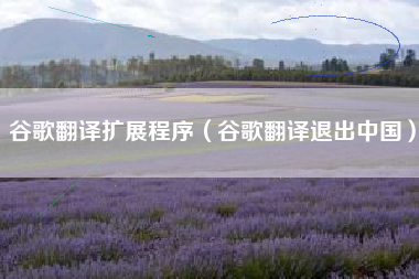 谷歌翻译扩展程序（谷歌翻译退出中国）