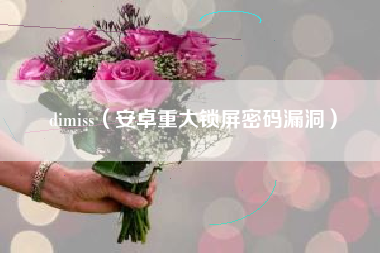 dimiss（安卓重大锁屏密码漏洞）