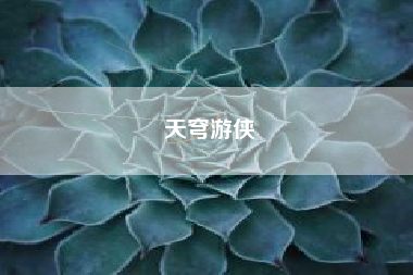 天穹游侠