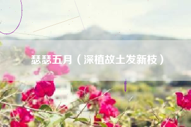 瑟瑟五月（深植故土发新枝）