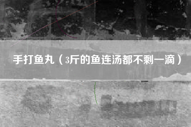 手打鱼丸（3斤的鱼连汤都不剩一滴）