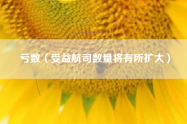 亏数（受益航司数量将有所扩大）