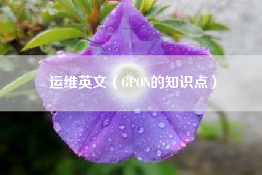 运维英文（GPON的知识点）