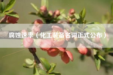 腐蚀速率（化工装备名词正式公布）