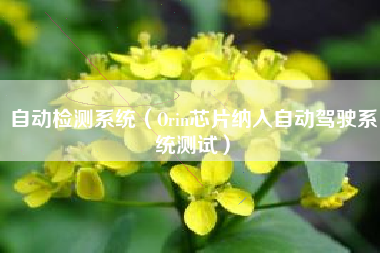 自动检测系统（Orin芯片纳入自动驾驶系统测试）