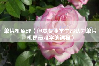 单片机原理（但本专业学生都认为单片机是最难学的课程）