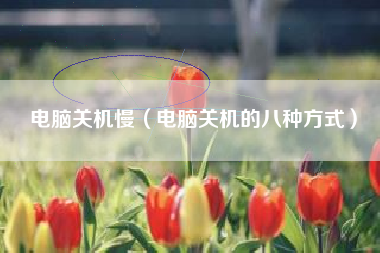 电脑关机慢（电脑关机的八种方式）