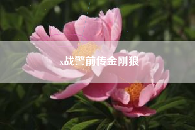 x战警前传金刚狼