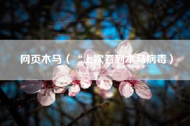 网页木马（“上次看到木马病毒）