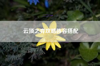 云顶之弈攻略阵容搭配