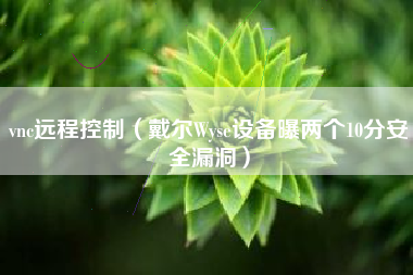 vnc远程控制（戴尔Wyse设备曝两个10分安全漏洞）