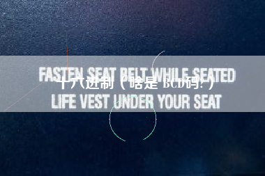 十六进制（啥是 BCD码?）