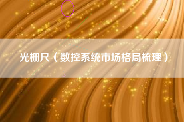 光栅尺（数控系统市场格局梳理）
