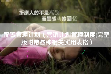 配置管理计划（营销计划管理制度(完整版附带各种相关实用表格）