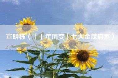 宣明栋（「十年历变」七大金茂府系）