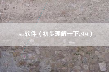 soa软件（初步理解一下:SOA）