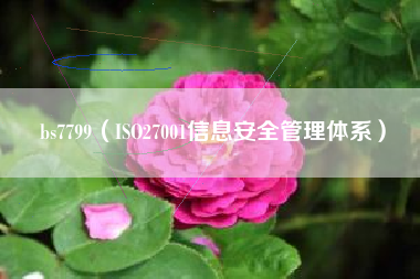 bs7799（ISO27001信息安全管理体系）