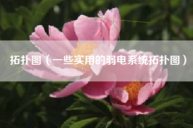 拓扑图（一些实用的弱电系统拓扑图）