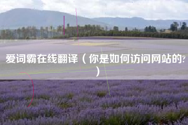 爱词霸在线翻译（你是如何访问网站的?）