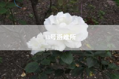 13号避难所