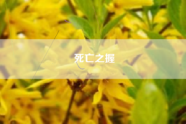 死亡之握