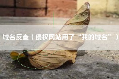 域名反查（侵权网站用了“我的域名”）