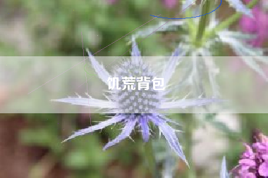 饥荒背包