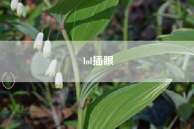 lol插眼