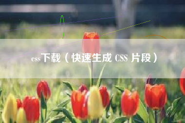 css下载（快速生成 CSS 片段）