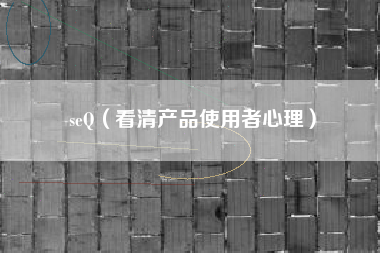 seQ（看清产品使用者心理）