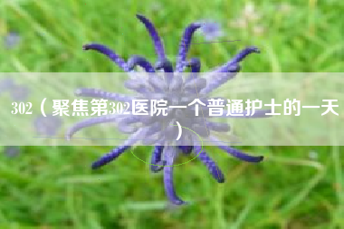 302（聚焦第302医院一个普通护士的一天）