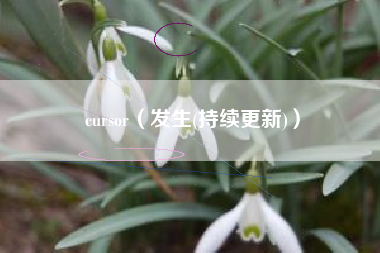 cursor（发生(持续更新)）