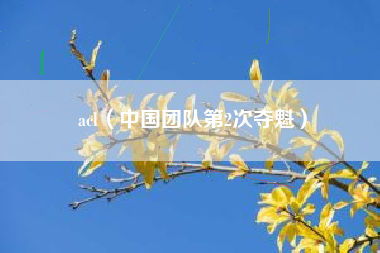 acl（中国团队第2次夺魁）