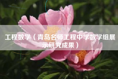工程数学（青岛名师工程中学数学组展示研究成果）