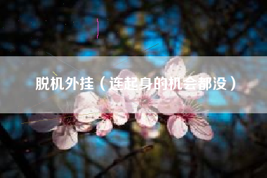 脱机外挂（连起身的机会都没）