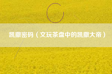 凯撒密码（文玩茶盘中的凯撒大帝）