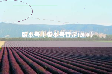 版本号（版本号暂定12000）