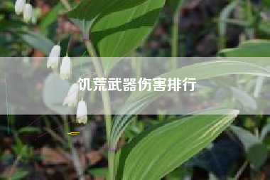 饥荒武器伤害排行