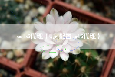 socks5代理（wget配置sock5代理）
