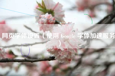 网页字体设置（使用 Google 字体加速服务）