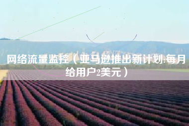 网络流量监控（亚马逊推出新计划:每月给用户2美元）