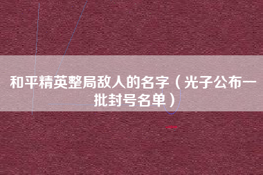 和平精英整局敌人的名字（光子公布一批封号名单）