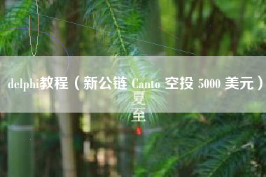 delphi教程（新公链 Canto 空投 5000 美元）