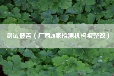 测试报告（广西20家检测机构被整改）