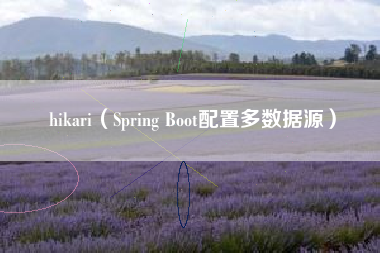 hikari（Spring Boot配置多数据源）