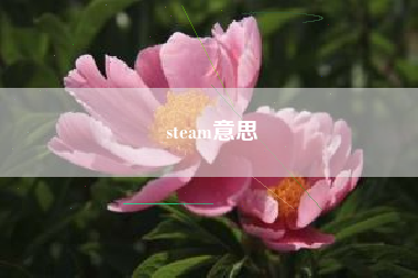 steam意思